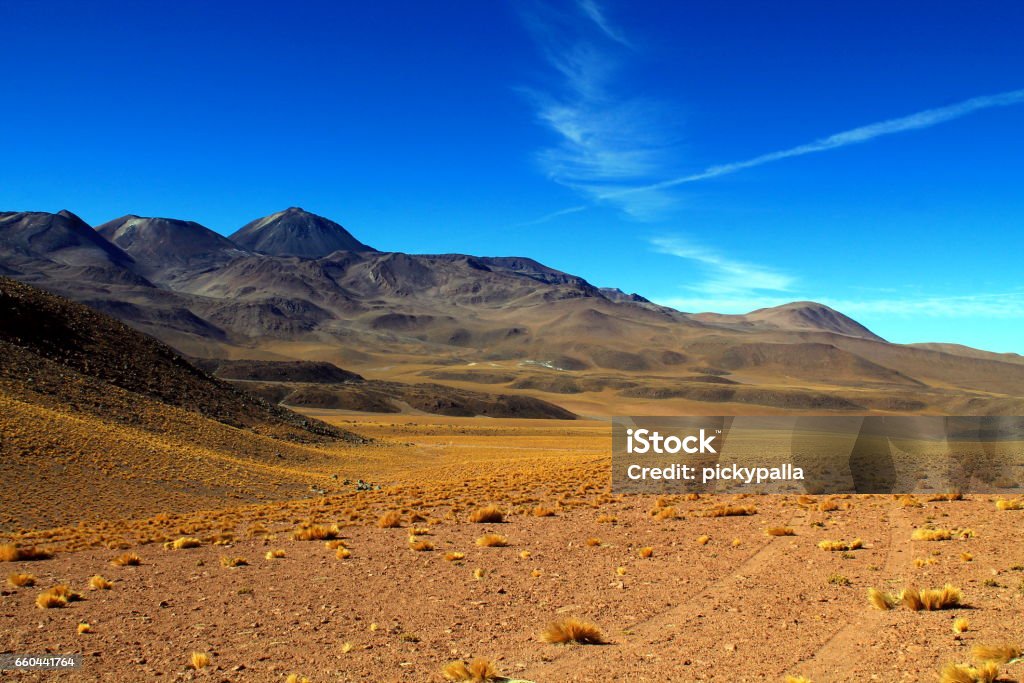 tracks on a lava field with a panorama of volcano sairecabur lonely track with many lanes over a lava field in the high mountains of the andes in chile with a panorama of volcano sairecabur Dirt Stock Photo