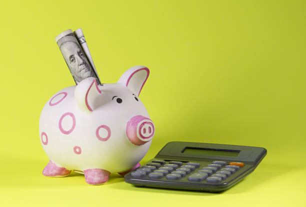 istock Piggy bank and money 660449056