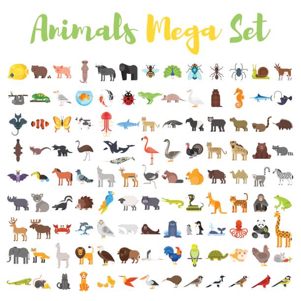 ilustraciones, imágenes clip art, dibujos animados e iconos de stock de gran estilo plano de vector conjunto de animales. - grupo de iconos ilustraciones