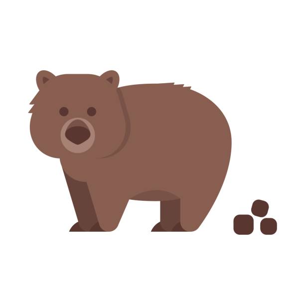 Vector flat style illustration of wombat. Vector flat style illustration of wombat. Icon for web. Isolated on white background. wombat stock illustrations