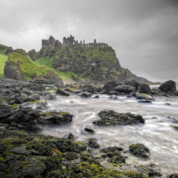 Ancient Dunluce Castle on a cliff, Ireland Castle, Dunluce Castle, Northern Ireland, County Antrim, Famous Place giants causeway photos stock pictures, royalty-free photos & images