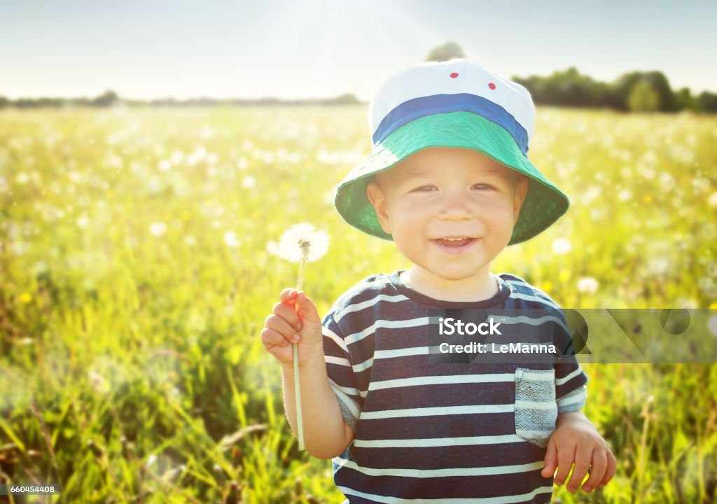 Baby junge sitzt im Rasen auf der Fieald mit Löwenzahn - Lizenzfrei Kleinstkind Stock-Foto