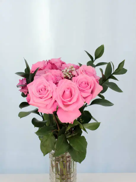 Vibrant pink rose flowers bunch in a cut-glass vase with a subtle background. Green leaves and baby’s breath accent pink bouquet of roses in a clear glass vase.