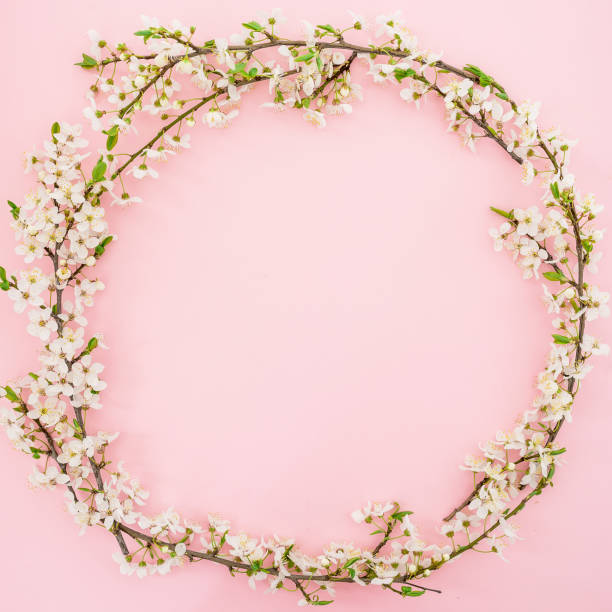 istock Frame of spring flowers isolated on pink background. Flat lay, top view. Spring time background. 660465314