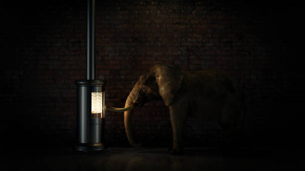 istock Good indoor climate concept. animals taking heat. 660465866