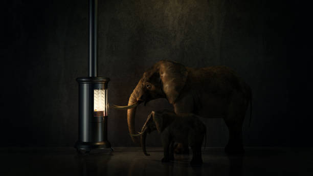 istock Good indoor climate concept. animals taking heat. 660466592