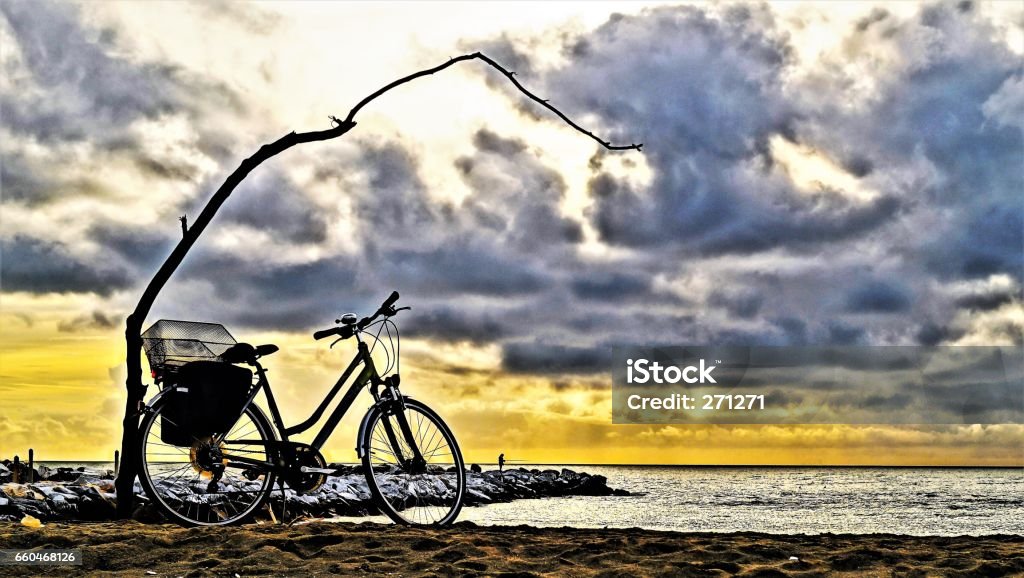 bicycle on beach Bike next to the branch.Coast of Marina di Massa. Tuscany. Cycling Stock Photo