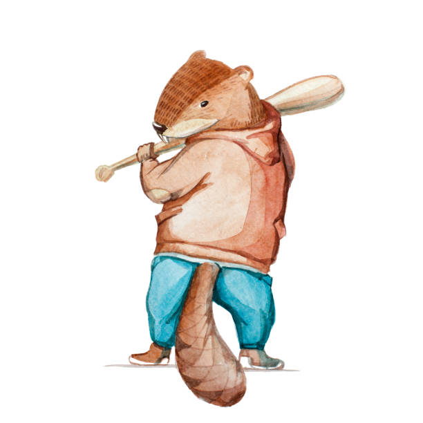 illustrazioni stock, clip art, cartoni animati e icone di tendenza di illustrazione ad acquerello. castoro in giacca e pantaloni gioca a baseball. - art painted image ball baseball