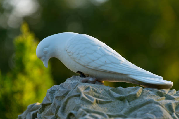 istock textured tombstone with white dove 660479246