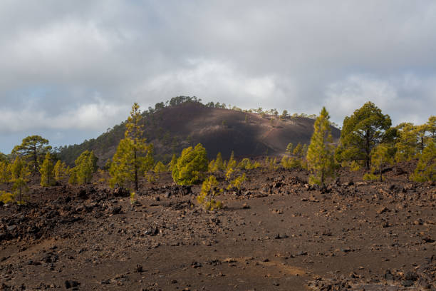 istock National Park Teide. Hiking on Tenerife. 660479786