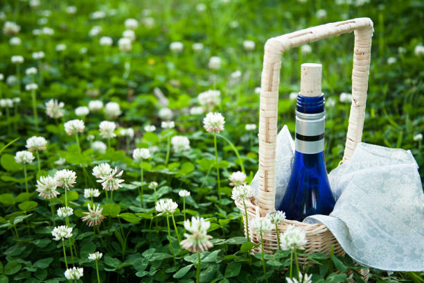 Wine bottle in wicker basket lying in a green field of clover ready for a summer picnic.  No people.