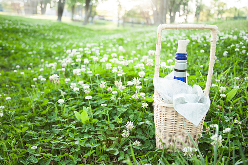 Wine bottle in wicker basket lying in a green field of clover ready for a summer picnic.  No people.