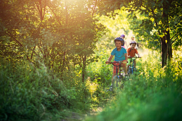 семейная езда на велосипедах по красивой лесной тропинке - cycling bicycle forest nature стоковые фото и изображения