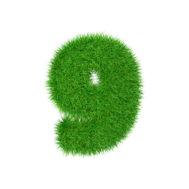 istock Number made of grass 9 isolated on white, 3d illustration 660513556