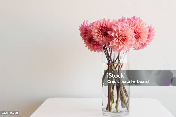 Rosa Dahlien In Glasvase Auf Tisch Stockfoto und mehr Bilder von Vase - Vase, Blume, Dahlie