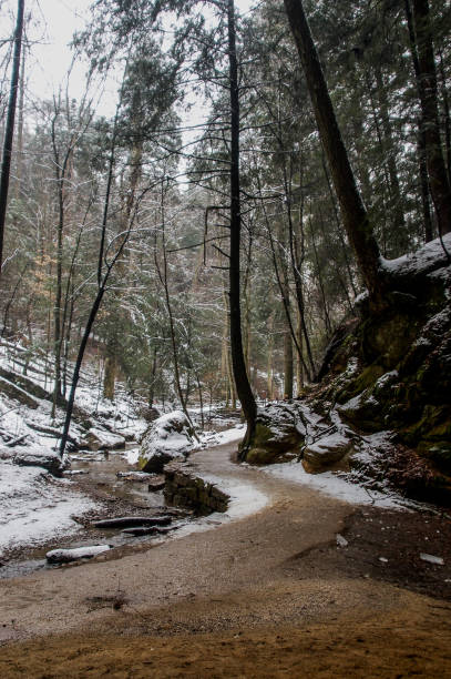 istock Hiking in Winter 660527538