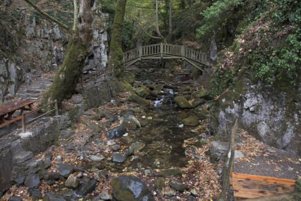 istock Canakkale, Ayazma Forests and waterfalls 660529972