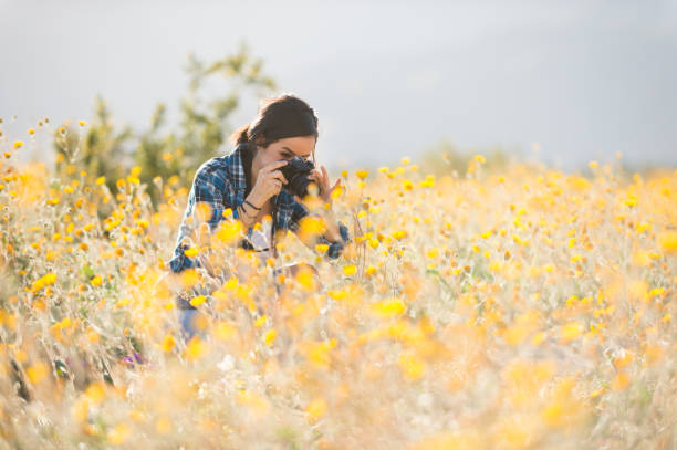 Women Photographer In The Wild Flowers A Hispanic women photographer, photographing the wild flowers.  Super bloom in the spring. anza borrego desert state park photos stock pictures, royalty-free photos & images