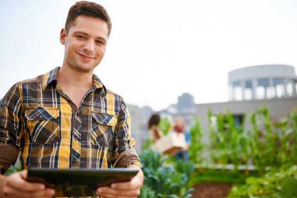 friendly team harvesting fresh vegetables from the rooftop greenhouse garden and planning harvest season on a digital tablet - environment homegrown produce canada north america imagens e fotografias de stock