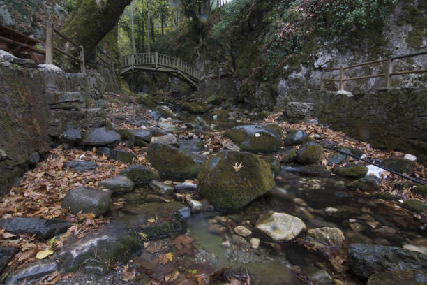 istock Canakkale, Ayazma Forests and waterfalls 660533606