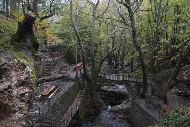 istock Canakkale, Ayazma Forests and waterfalls 660533858