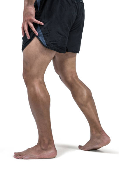 istock Muscular man flexing leg for camera 660544326