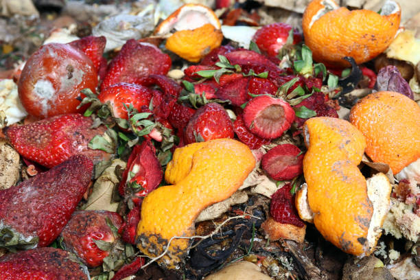 zepsute owoce na hałdy śmieci - garbage food compost unpleasant smell zdjęcia i obrazy z banku zdjęć
