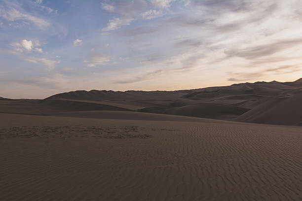 istock Footprints On Rippled Sand By Sand Dunes 660551039