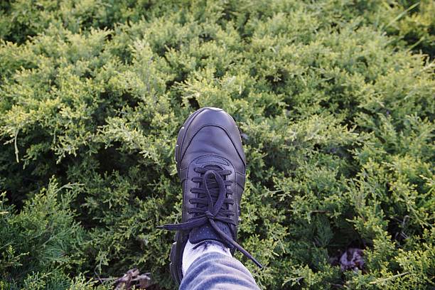 istock Low Section Of Man Over Plants 660552867