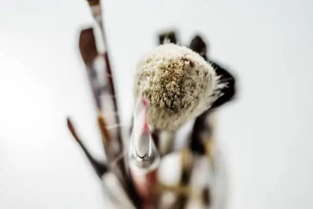 Photo of Artist's brush