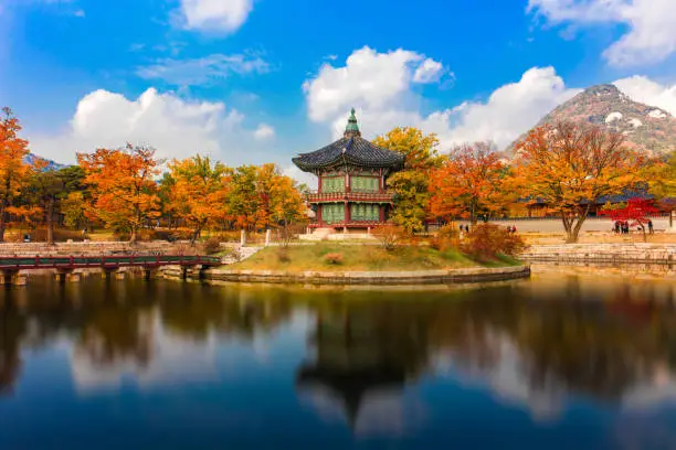 Autumn season of  Gyeongbokgung Palace in Seoul,South Korea.