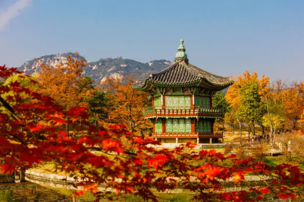 Autumn season of  Gyeongbokgung Palace in Seoul,South Korea.