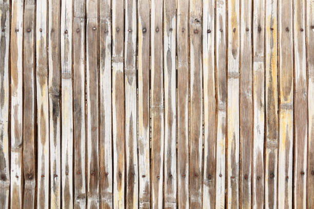istock dry bamboo fence background with nails 660557118