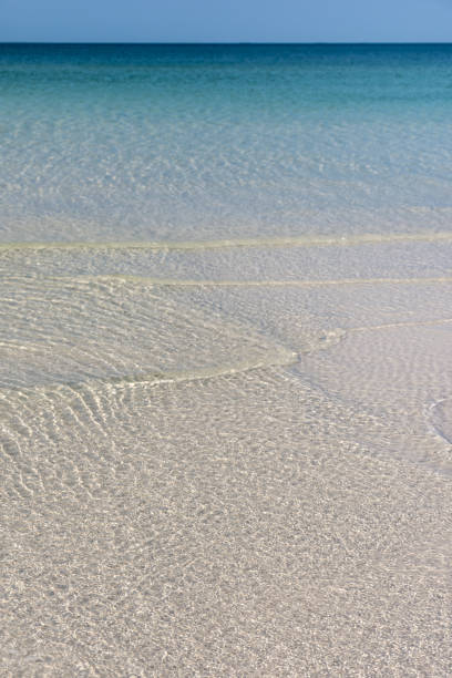 istock White sandy beach with calm crystal clear sea. 660566746