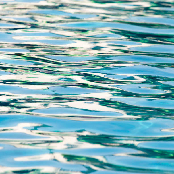 istock The smooth water in the pool as a background 660572992
