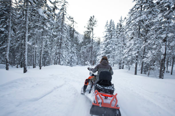 istock Driver riding on touring snowmobile in snow frost forest. 660576650