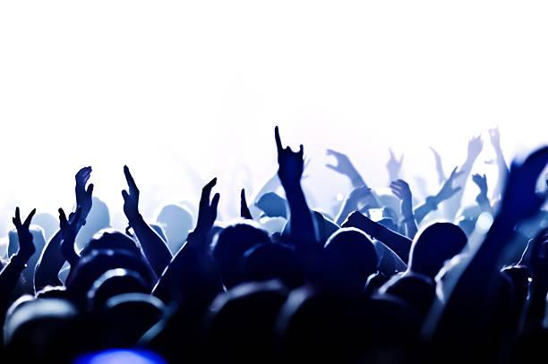 istock Crowd Enjoying At Music Concert At Night 660578743