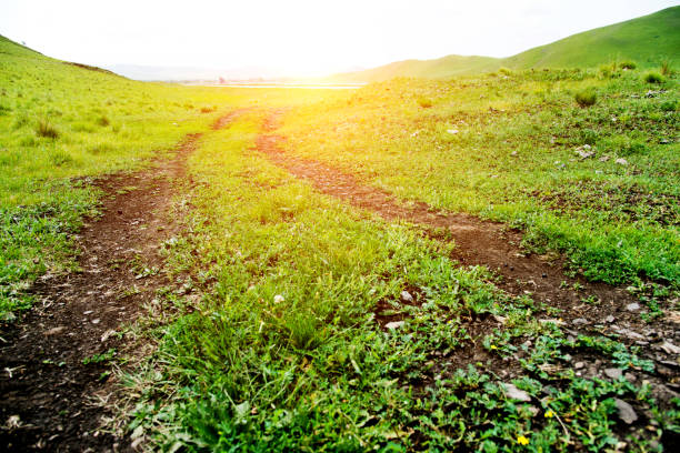 Dirt road in green field