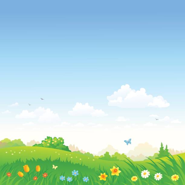연두빛 메도 - daffodil spring backgrounds sky stock illustrations