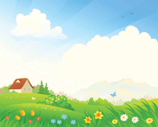 frühlingsblütenlandschaft - daffodil spring backgrounds sky stock-grafiken, -clipart, -cartoons und -symbole