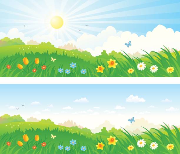 春の牧草地のバナー - daffodil spring backgrounds sky点のイラスト素材／クリップアート素材／マンガ素材／アイコン素材