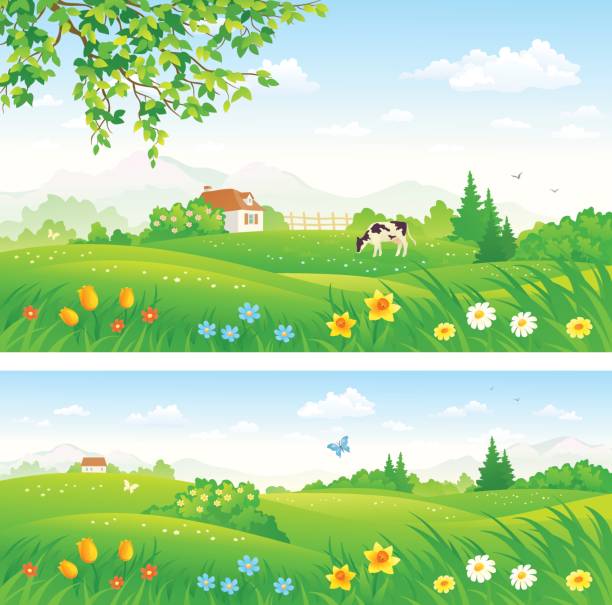 wiosenna kwitnąca wieś - daffodil spring backgrounds sky stock illustrations