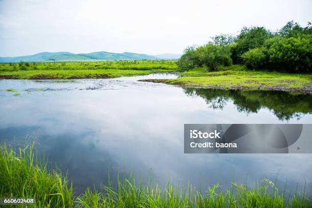 Idyllic Summer Landscape With Lake Stock Photo - Download Image Now - Agricultural Field, Bay of Water, Beauty
