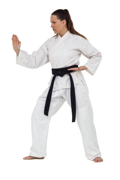 istock Female fighter performing karate stance 660603308
