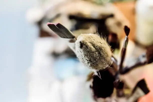 Photo of Artist's brush