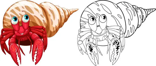 Vector illustration of Animal doodle outline for hermit crabs