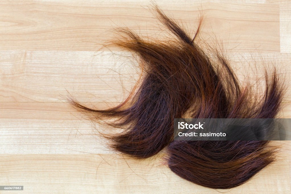 Thuốc nhuộm tóc màu Nâu gỗ không cần dùng Thuốc tẩy tóc / Nâng tone của  Buddyhairs,Buddy.hairs, Buddyhair - Thuốc nhuộm tóc | MyPhamElle.com