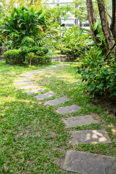istock Walkway and path brick in garden 660625380