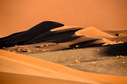 Sand dunes in the last light of Day