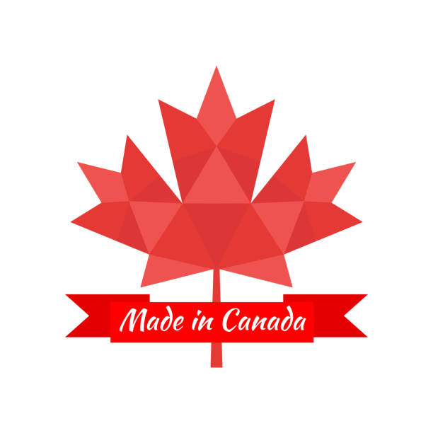 Made in Canada banner, flag red maple leaf. vector art illustration